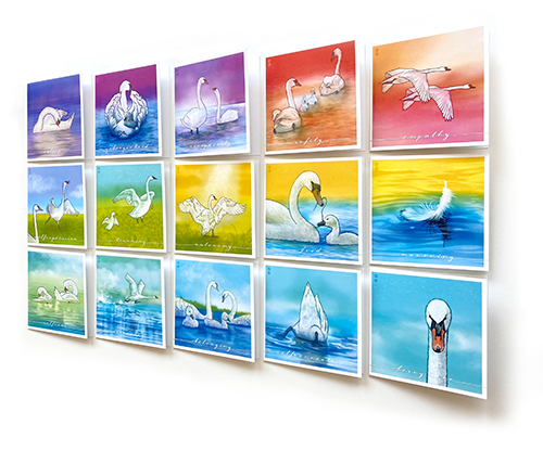 TVM_all-cards_02